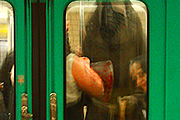 Image aléatoire
